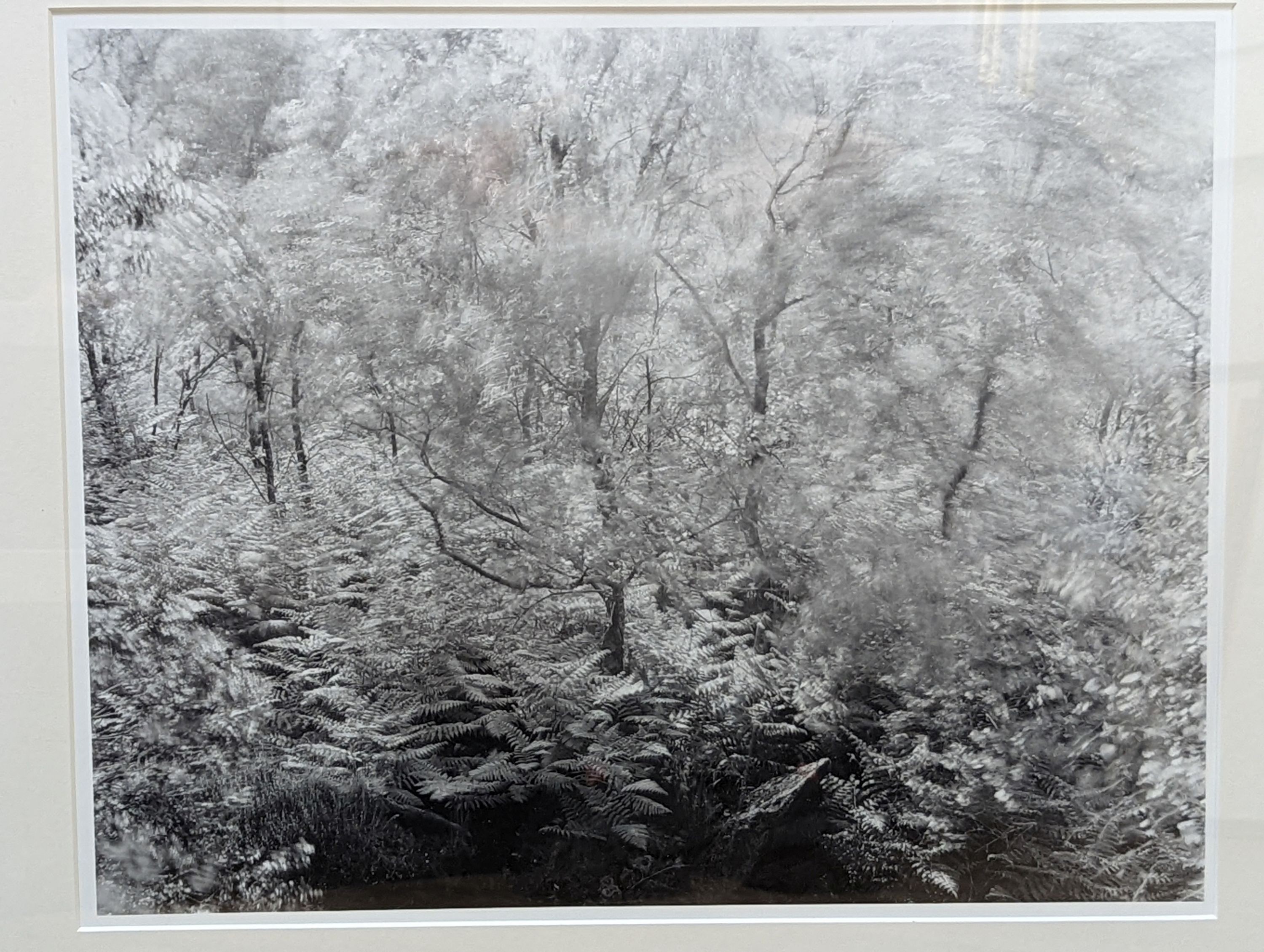 John Blakemore (1936-), six gelatin silver prints, Wind Series 3, 32 x 40cm, Wind Series 2, 32 x 40cm, Amber Gate, Derbyshire, 1981, 31 x 40cm and signed, Wind Series 1, 32 x 40cm, Studio still life, 30 x 22cm and Black